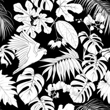 Seamless Pattern, Background. With Tropical Plants