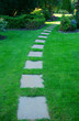 Beautiful lawn and path