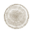 Wood textured surface of wavy ring pattern from a slice of tree. Grayscale wooden stump isolated on white.