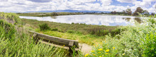 Landscape In Palo Alto Baylands Park, South San Francisco Bay Area, California