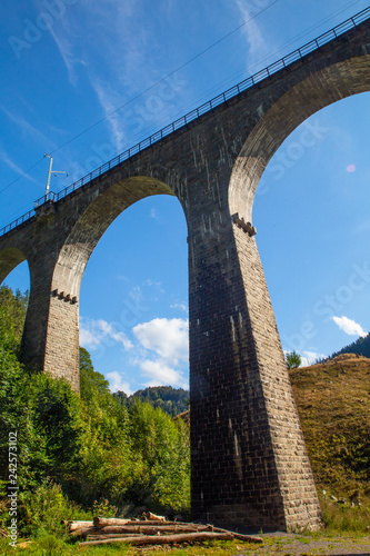 Fotomural Arched railroad train overpass through the Black Forest in Germany