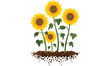 Sunflower Garden Illustration