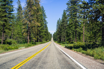 driving through shasta national forest, siskiyou county, northern california
