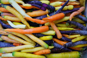 Wall Mural - Colorful multicolor orange, purple, red and white heirloom carrots at a farmers market
