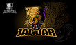 Jaguar Vector Logo Template. Vector illustration of a big cat jaguar or leopard head. Jaguar head in color. 