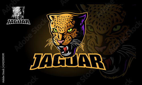 Vector illustration of a big cat jaguar or leopard head Tableau sur Toile