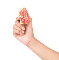 Wall Mural - hand holding Pomegranates Fruit isolated on a white background.