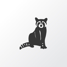 Raccoon Icon Symbol. Premium Quality Isolated Coon Element In Trendy Style.