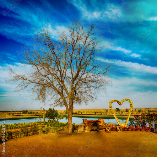 Obraz Dibond A Love Tree and Wooden Heart