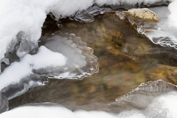 clear water in a mountain stream