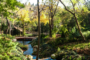 Poster - Bridge in Park