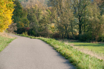 Wall Mural - cycle path