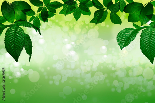 fondo verde abstracto con marco de hojas