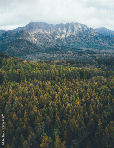 Aerial View Of Autumn Forest Mountain 森の空撮 ドローン 秋 紅葉 戸隠 長野 Stock Photo Adobe Stock