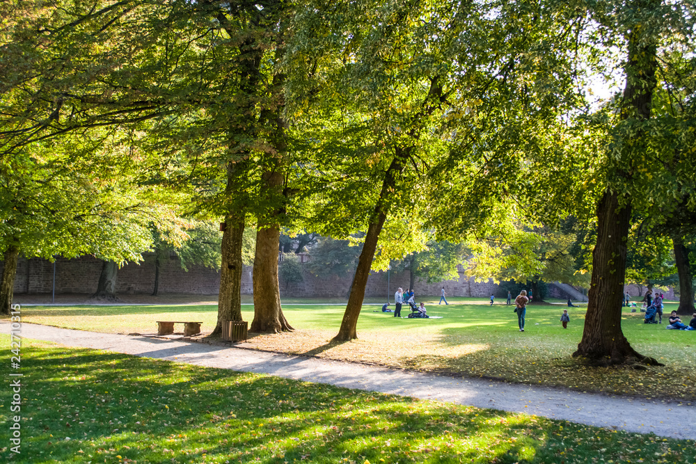 The cozy and green park in Germany near historical places. Botany. The ...