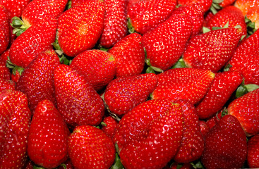 Wall Mural - Ripe red freshly harvested strawberry in full frame. Food background.