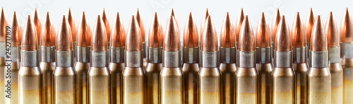 Fotomural Hunting cartridges of caliber. 308 Win