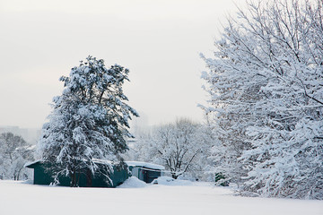 house under a snowy tree on a winter day