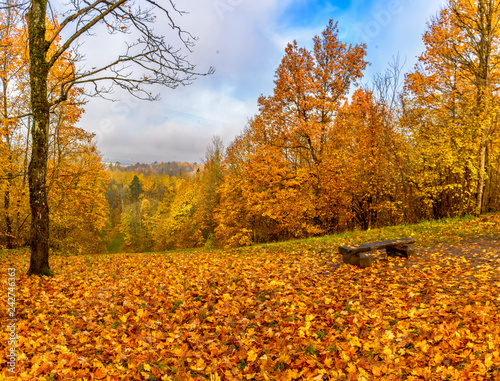 Obraz Dibond Upland Park to park krajobrazowy zajmujący górę Orekhovaya (174,2 m) na wysokości Duderhof w dzielnicy Krasnoselsky w Petersburgu.