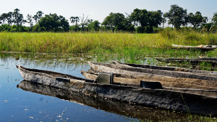 Naklejka na meble Makoro dugout canoes, Okavango Delta, Botswana.