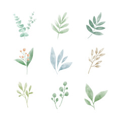 Sticker - Set of watercolor leaves vectors
