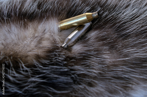 Fotografie, Obraz Two spent bullet casings on top of possum fur. Bokeh effect.