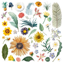 Floral Background Pattern Illustration