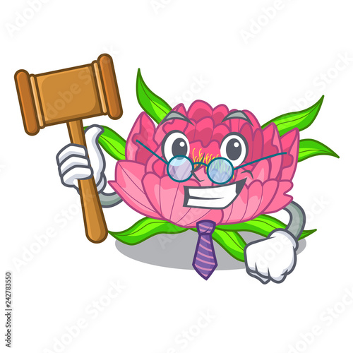 Fotografija Judge peony flower grow in mascot stems