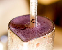 Measuring sugar content (% Brix) of newly harvested and crushed wine grape juice using a hydrometer. Healdsburg, California, USA