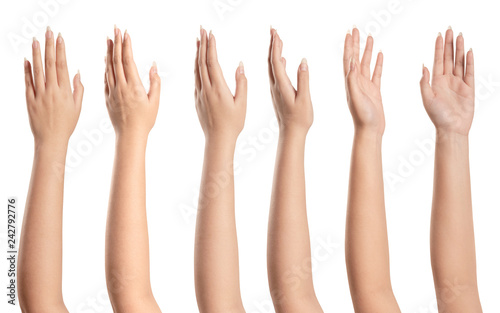 Fotografía Set of woman hands isolated on white background