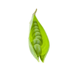 Sticker - green peas isolated on white background