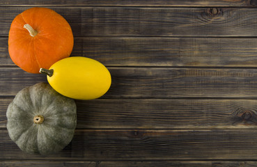 Wall Mural - raw pumpkin on wooden background