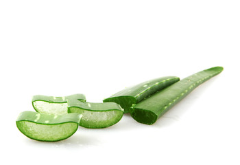 Poster - Aloe Vera Plant Isolated On White Background