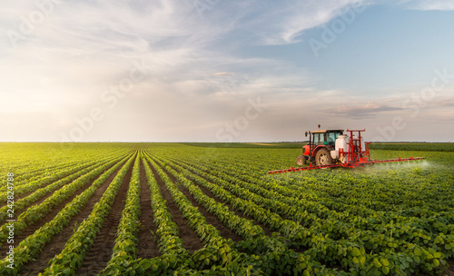 Fotomural Tractor spraying pesticides at soy bean field