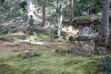 Wall Mural - 大原三千院