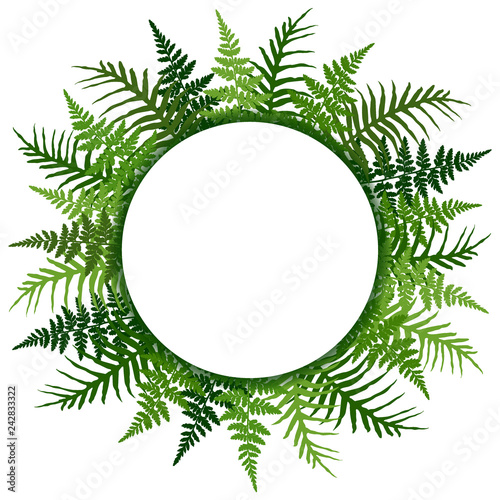 Fern frond tropical leaves frame vector illustration. Bush plant leaves decor...