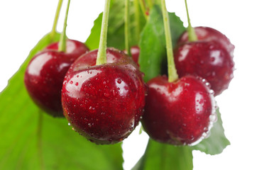 Ripe sweet cherry. Close-up. Isolated on white