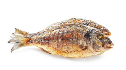 Grilled dorado fish on white background