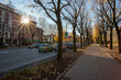 © Ali Tellioglu - road tree city