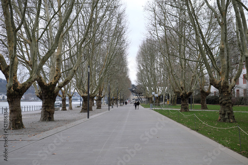 Fotografia Koblenz Rheinpromenade an einem kalten Wintertag - Stockfoto