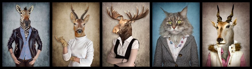 Animals in clothes. People with heads of animals. Concept graphic, photo manipulation for cover, advertising, prints on clothing and other. Zebra, deer, moose, cat, goat.