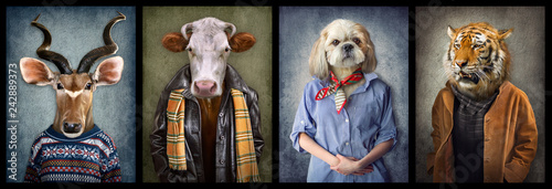 Animals in clothes. People ...