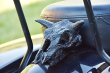 Close-up Chromed Motorcycle Part,animal Skull