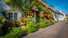 Cute Old English House With A Thatched Roof And Flowers In A Green Hilly Landscape On A Summer Sunny Day With Blue Sky In The UK In A Holiday Dorset Countryside Between Sidmouth And Lyme Regis.