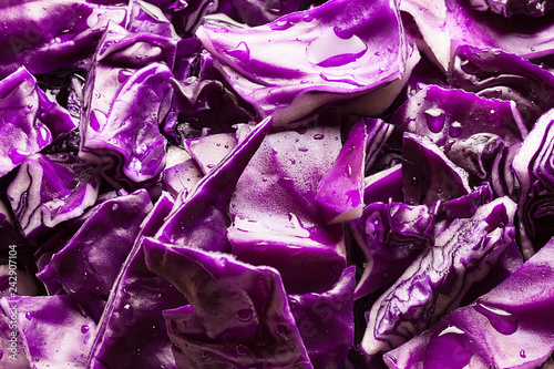 Foto PRIMER PLANO DE HOJAS DE LOMBARDA MORADA