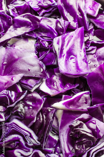 Foto PRIMER PLANO DE TEXTURA DE LOMBARDA MORADA