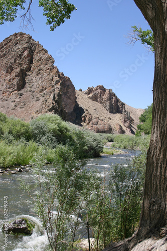 Fotografie, Obraz Desert River Brings Life to a Barren Landscape