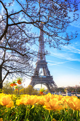 Wall Mural - Eiffel tower and blooming tulips in the spring, Paris, France