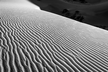 Wall Mural - Sunrise over the Mesquite Flat Sand Dunes