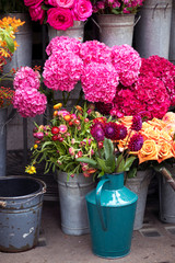 Wall Mural - colorful variety of flowers sold in the market in London.